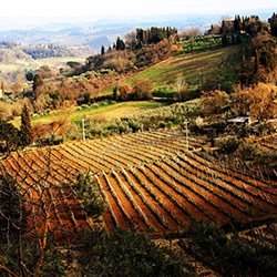 Florence